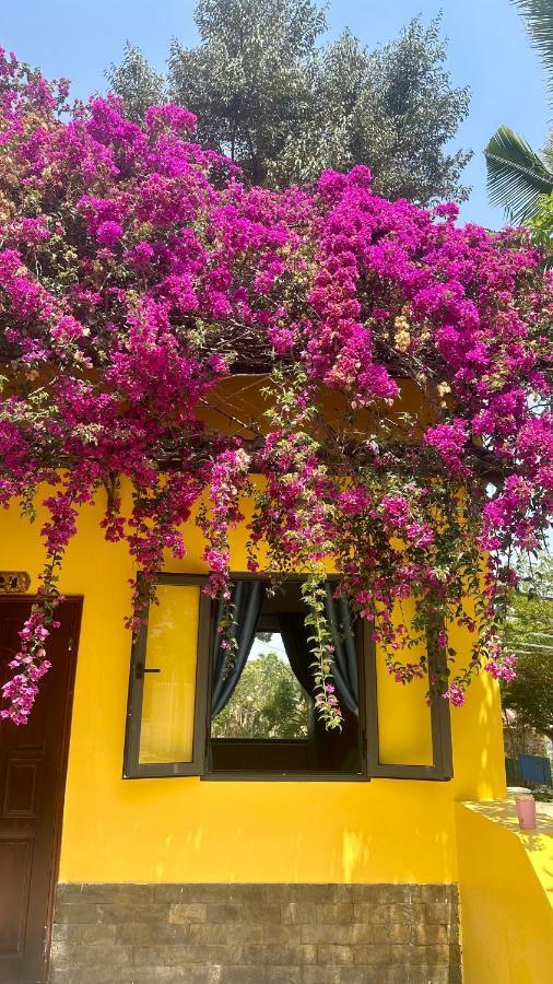 Bao Dien Guesthouse เบ๋าลอก ภายนอก รูปภาพ